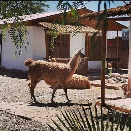 Cabanas Voyage Atacama San Pedro de Atacama Exterior foto