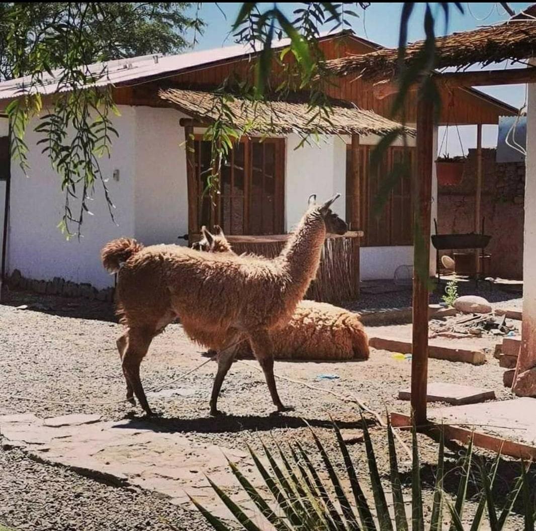Cabanas Voyage Atacama San Pedro de Atacama Exterior foto